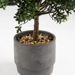 Scottish Everlastings Ltd. Scottish Everlastings Artificial 45Cm Mini Topiary Plant In Cement Pot - thumbnail 2