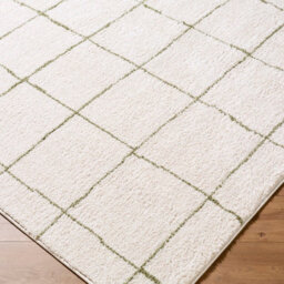 Livabliss Tivoli-Washable Cream Green Modern High Pile Living Dining Bedroom Rug 160 X 213 Cm Easy Care, Non Shedding - thumbnail 6