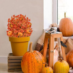 Amorly 2 Pcs Fall Pumpkin Artificial Flowers With Ground Stakes For Outdoor Autumn Fake Shrubs Bushes With Eucalyptus Leaves Pumpkin - thumbnail 8
