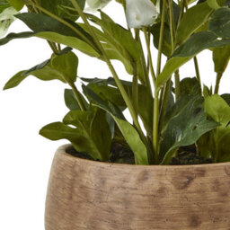 Wyld Haus Green Hellebore Artificial Plant In Rustic Taupe Pot, 41 Cm - thumbnail 4