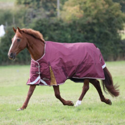 "Highlander Plus Standard-Neck 100G Horse Turnout Rug Maroon (7 3"")" - thumbnail 1