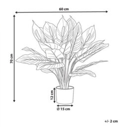 Wyld And Coco Faux Peace Lily Artificial Plant With Realistic Green Leaves And White Blooms, 70 Cm - thumbnail 4