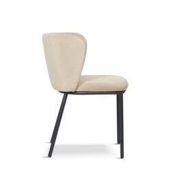 Set Of 2 Light Grey Velvet Dining Chairs Modern Upholstered Accent Chairs With Black Metal Legs - thumbnail 6