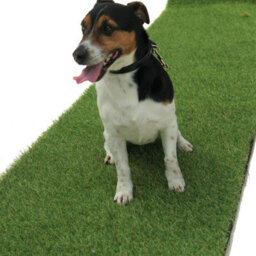 "Durban 25mm Outdoor Artificial Grass,pet-Friendly Outdoor Artificial Grass, Realistic Fake Grass-3M(9'9"") X 4M(13'1"")-12M²" - thumbnail 5
