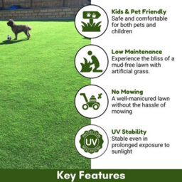 "Durban 25mm Outdoor Artificial Grass,pet-Friendly Outdoor Artificial Grass, Realistic Fake Grass-3M(9'9"") X 4M(13'1"")-12M²" - thumbnail 2
