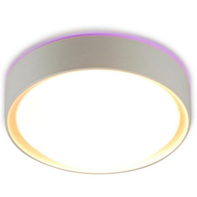 Luminosa Lighting Luminosa Colorato Flush Ceiling Light Purple