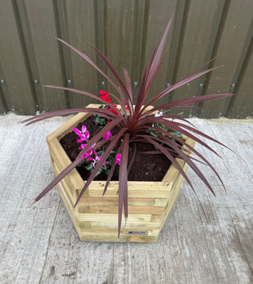 2025 Simply Wood Signature Classic Hexagon Planter - Extra Large - image 1