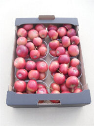 Red Ornamental Crab Apples - Decorative Fruit - thumbnail 2