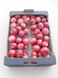 Red Ornamental Crab Apples - Decorative Fruit - thumbnail 3