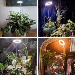 Plant Grow Lights, 3 Selectable Light Spectra, Automatic Timer, 3 Pack - thumbnail 2