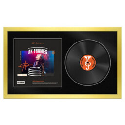 "30X17"" Gold Modern Vinyl Record Frame With Black Mount For 12 Inch Lp Album Cover & Disc - Ak Frames"
