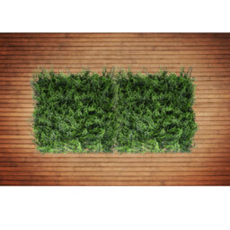 Artificial Plant Flower Living Wall Panels Realistic- Fern-  Indoor / Outdoor - 50Cm X 50Cm - thumbnail 9