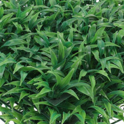 20 Pack Artificial Plants For Green Walls, Uv Protection, Backdrop Privacy Screen, 25 Cm X - thumbnail 7