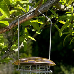 Selections Copper Style Hanging Bird Nut Feeder - thumbnail 6