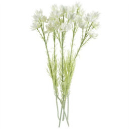 Leaf Pack Of 6 X 60Cm White Starflower Stem - 30 Flowers - thumbnail 2