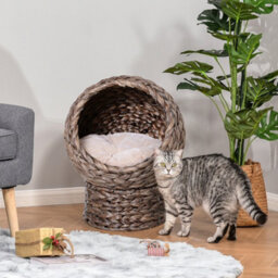 Pawhut Wicker Cat House, Raised Cat Bed With Cushion, 42 X 33 X 52Cm, Dark Brown - thumbnail 1