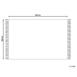 Beliani Minimalist Rug Sazoo Beige 300 X 400 Cm - thumbnail 3