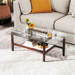 Gainoom Home Brown Glass Coffee Table 2-Tier Coffee Table With Storage Shelf - thumbnail 3