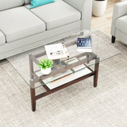 Gainoom Home Brown Glass Coffee Table 2-Tier Coffee Table With Storage Shelf - thumbnail 5