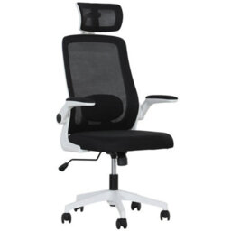 Executive Mesh Office Chair With Headrest, Lumbar Support, Black - thumbnail 1