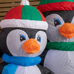 Samuel Alexander 1.5M Light Up Christmas Inflatable Penguin Family With 12 White Leds - thumbnail 6