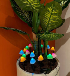 Lumineo 20 Coloured Mushroom Stake Lights Mini Christmas Led Pathway Lights Warm White - thumbnail 4