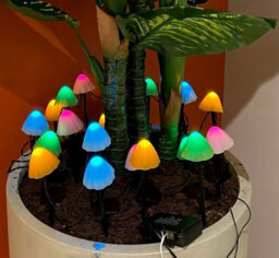 Lumineo 20 Coloured Mushroom Stake Lights Mini Christmas Led Pathway Lights Warm White - thumbnail 5