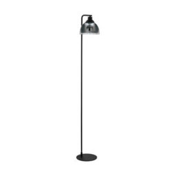 Stylish Black Floor Lamp With Adjustable Height And Vaporized Glass Shade