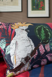 Deyongs House Of Norris The Parrot And The Cockatoo 100% Cotton 200 Count Duvet Set - thumbnail 5