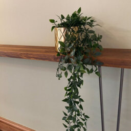 Timber Foundry Narrow Hallway Console Table L110 X D15 X H75Cm, Pine, Golden Oak - thumbnail 1