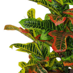 Leaf 90Cm Artificial Codiaeum Multicoloured House Plant - Large - thumbnail 4