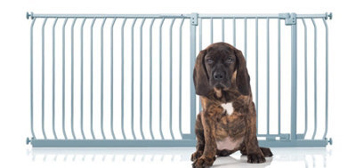 Bettacare Elite Pressure Dog Gate, 189Cm - 198Cm, Matt Grey, Pressure Fit Pet Gate For Dog And Puppy - image 1