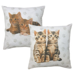 Cute Kittens Ollie Billy Pack Of 2 Cushion Covers, Rachael Hale Paw Print Meow Cat Duo - thumbnail 2