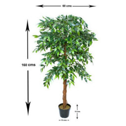 Greenbrokers Premium Artificial Ficus Weeping Fig Tree 140 Cm/ 4'5Ft Potted Plant - thumbnail 2