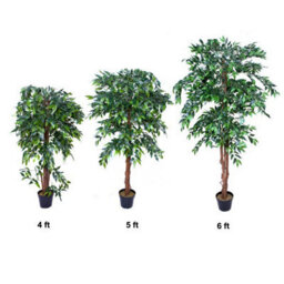 Greenbrokers Premium Artificial Ficus Weeping Fig Tree 140 Cm/ 4'5Ft Potted Plant - thumbnail 4