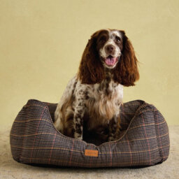 Rosewood Joules Hensen Check Box Dog Bed - thumbnail 2