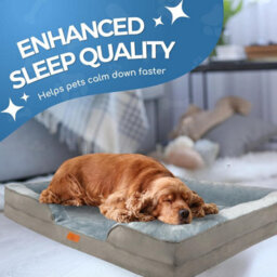 Fur & Bone Orthopedic Dog Bed Extra Large 112 X 80 X 20 Cm - Washable Plush Velvet Pet Bed With Memory Foam Cushion And Non-Slip Base - thumbnail 6