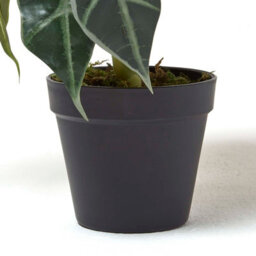 Homescapes Artificial Green Handcrafted Amazonica Elephant Ear Plant In Pot, 50 Cm - thumbnail 3