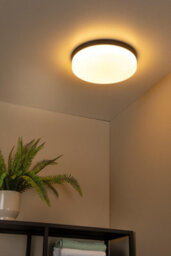 Lucide Biskit Modern Flush Ceiling Light Bathroom 34,5Cm - Led - 1X24W 2700K - Ip44 - Black - thumbnail 3