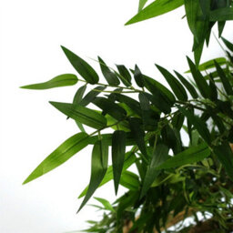 Leaf Artificial 120Cm Oriental Bamboo Plant - thumbnail 3