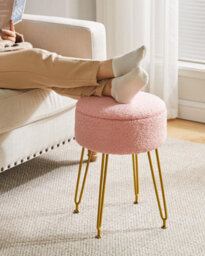 Oira Makeup Vanity Stool, Teddy Velvet Storage Ottoman, Pink Footrest Side Table Removable Cover Golden - thumbnail 5
