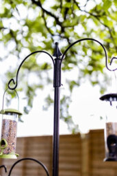 Marco Paul 3 Arm Bird Feeding Station Complete Wild Bird Feeder 3 Hanging Brackets Water Dish - thumbnail 5