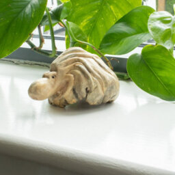 Handmade Parasite Wood Ocean Octopus Carving Coastal Wooden Ornament - thumbnail 4