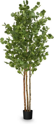 Artificial Plant Eucalyptus, Maia Shop For Home And Office Decoration, 180Cm - image 1
