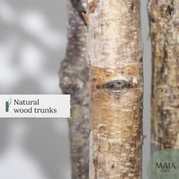 Artificial Plant Eucalyptus, Maia Shop For Home And Office Decoration, 180Cm - thumbnail 4