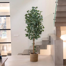 Artificial Plant Eucalyptus, Maia Shop For Home And Office Decoration, 180Cm - thumbnail 2