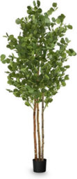 Artificial Plant Eucalyptus, Maia Shop For Home And Office Decoration, 180Cm - thumbnail 1