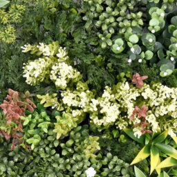True Products Premium Artificial Living Wall Green Plant Panel 50Cm X 50Cm - Aurora 'a' - thumbnail 3