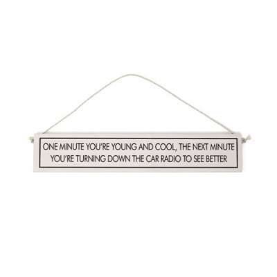 Wit With Wisdom Grey Witty Quote Wooden Hanging Sign - One Minute You're Young - image 1