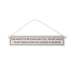 Wit With Wisdom Grey Witty Quote Wooden Hanging Sign - One Minute You're Young - thumbnail 1